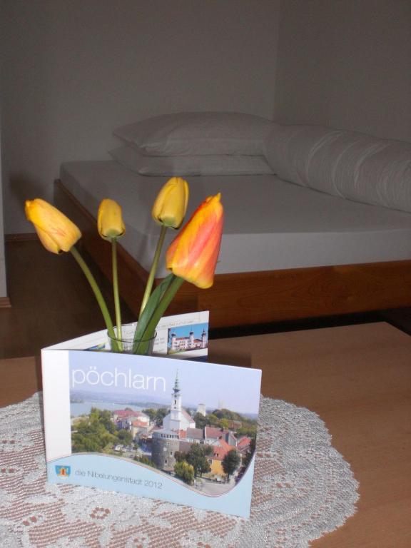 Privatzimmer Familie Wagner Pöchlarn Kültér fotó